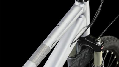 Cube Nature EXC polarsilver'n'black Gr&ouml;&szlig;e: Trapeze 54 cm / M Produktbild 1