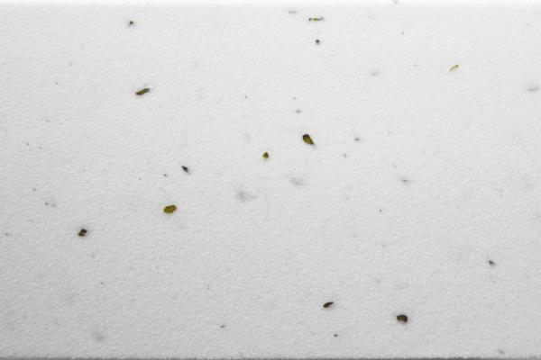 CUBE Lenkerband Cork